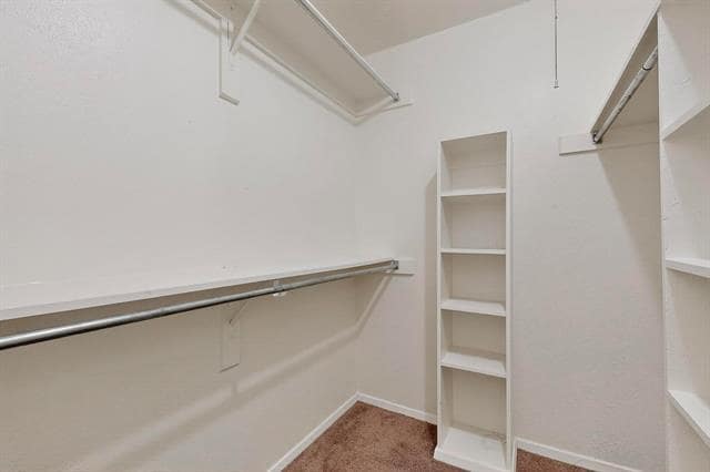 Building Photo - 1425 Brazos Dr