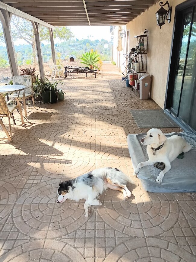 Building Photo - 1620-1624 York Dr