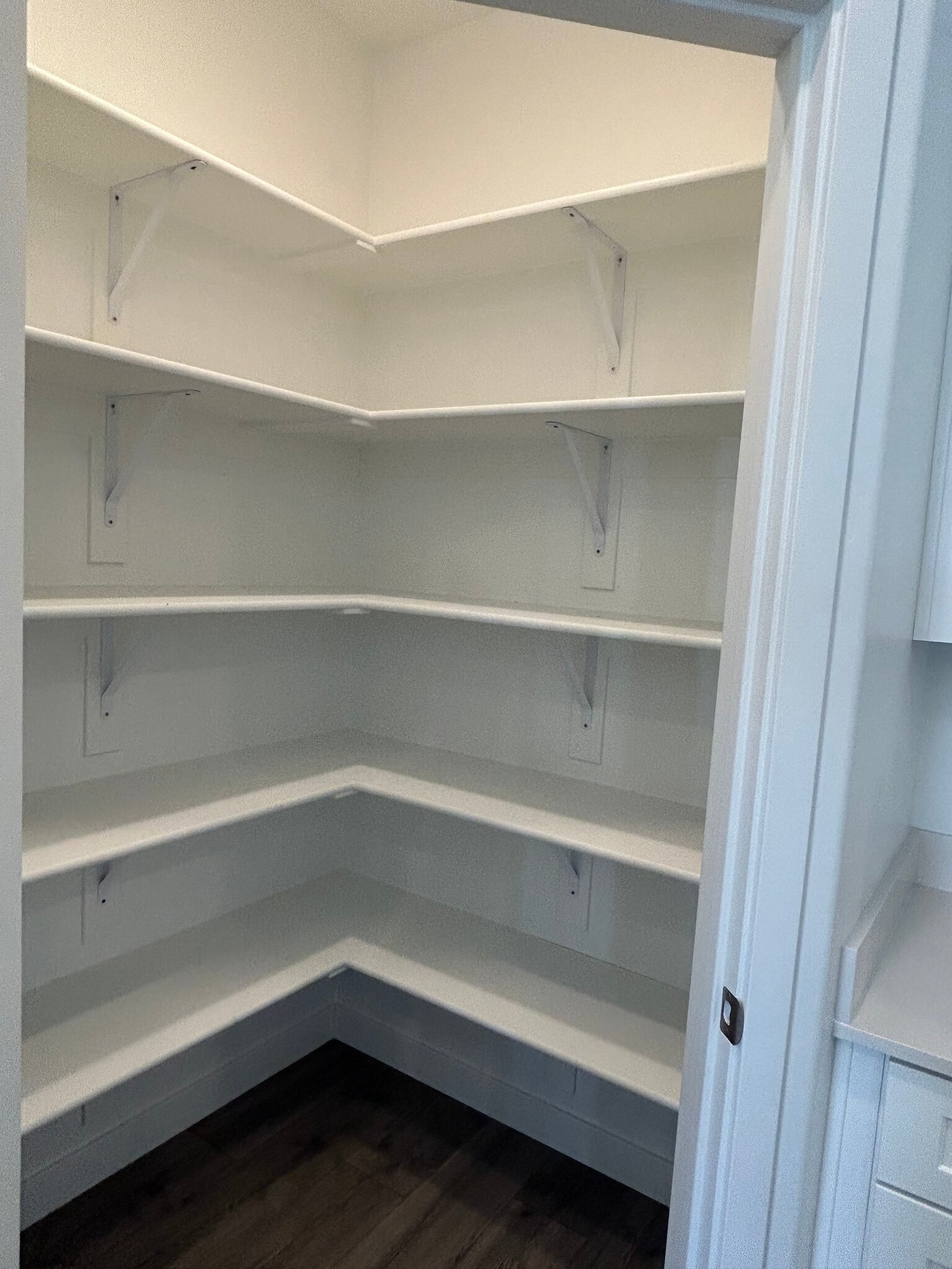 Large walk-in Pantry - 1362 S Gulch Ln