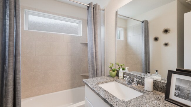 Building Photo - 221 Cordova Xing