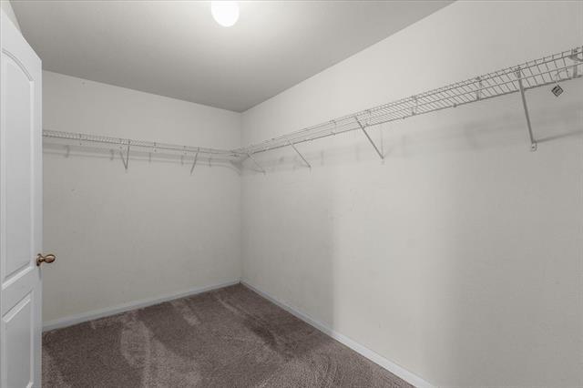 Building Photo - 6024 Amber Cliff Ln