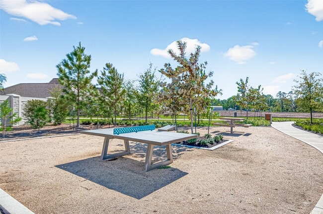 Building Photo - 11035 Vanilla Ridge Ct