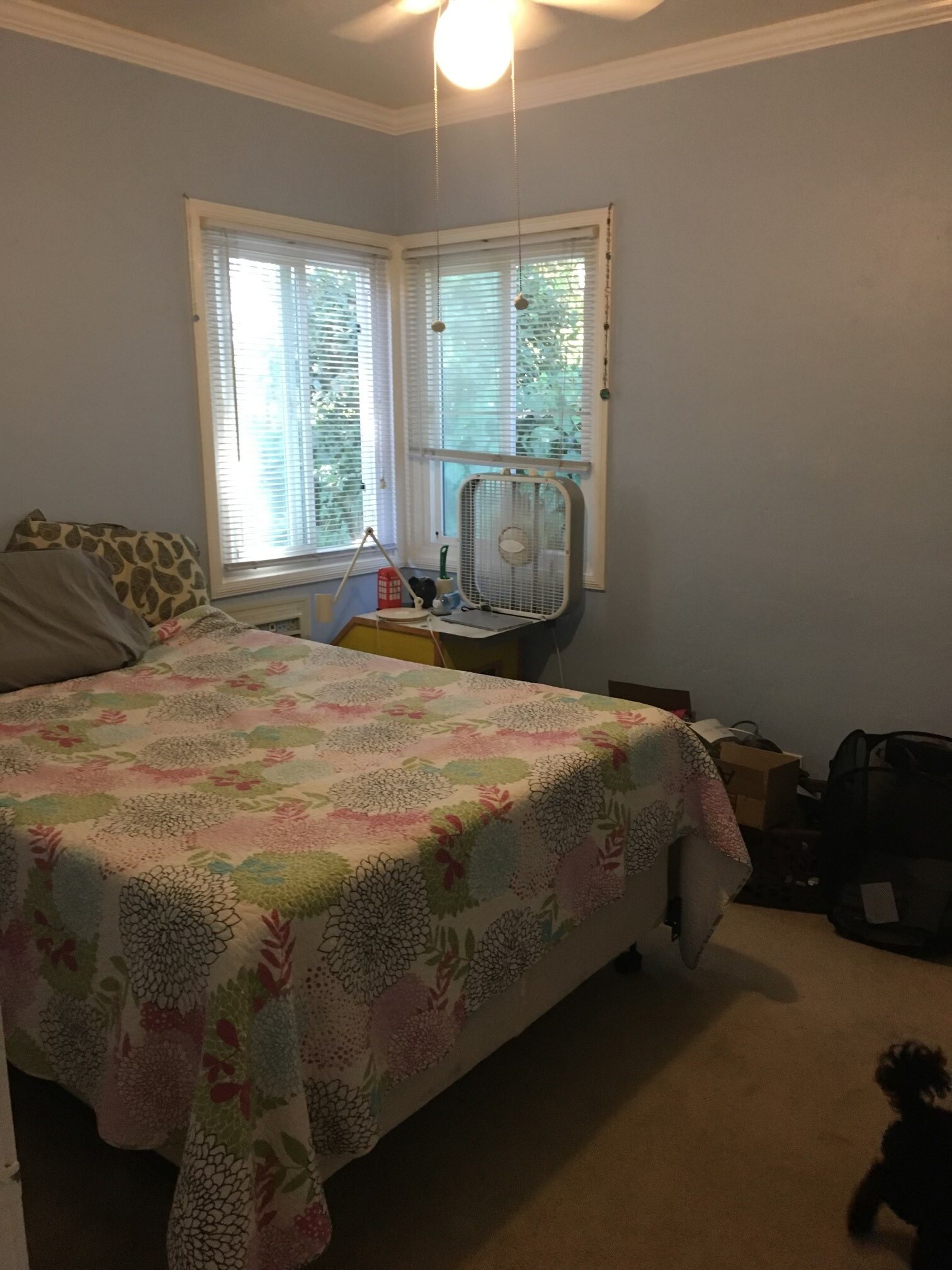 Building Photo - 4022 Miller Way