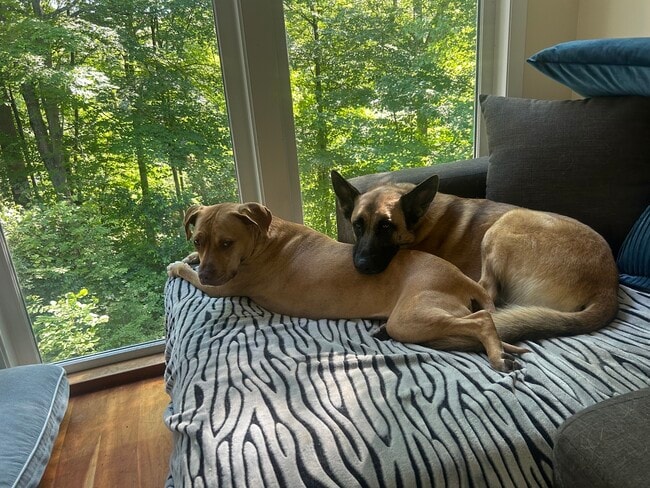 Building Photo - 172 Ponus Ave