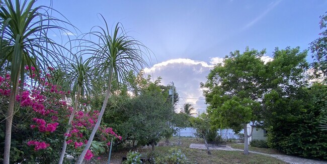 Building Photo - 2/2 single family house with big yard near downtown and beach!