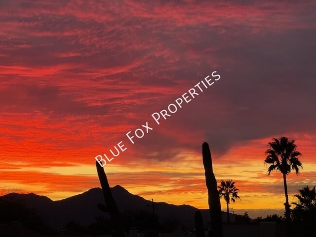 Building Photo - 6217 N Saguaro Post Pl