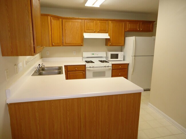 Building Photo - 2203 Oak Stream Ln