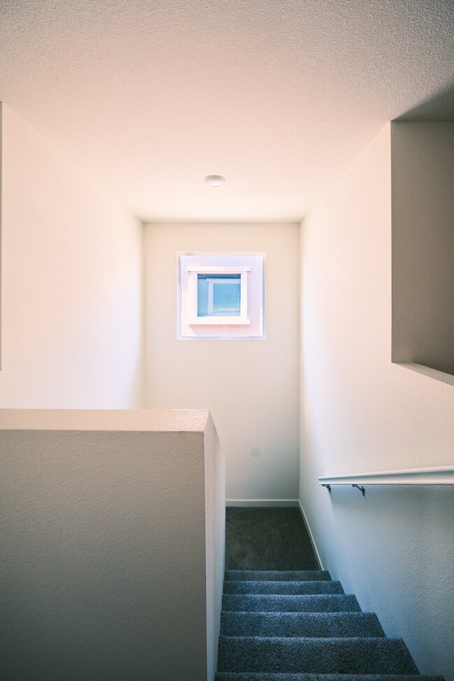 Building Photo - 2129 Shady Tree Cir