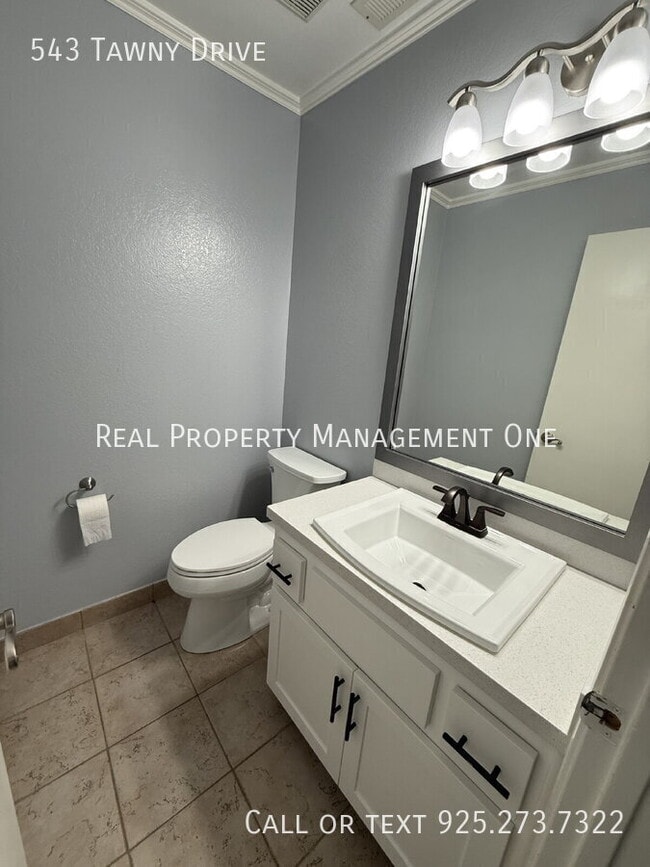 Building Photo - 543 Tawny Dr