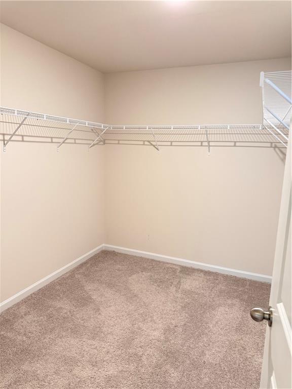 Building Photo - 129 Jaxton St