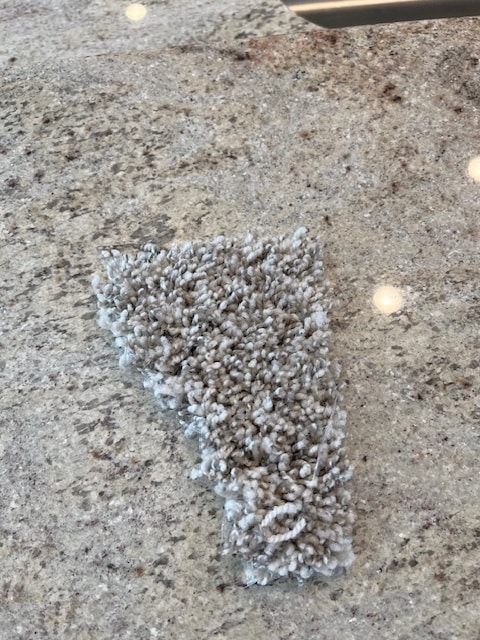 New Carpet to be installed. Not shown in Pictures. - 393 Hays Blvd