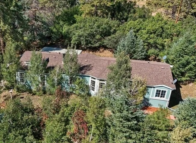 Building Photo - 3 Bedroom 2 bath Palmer Lake Home