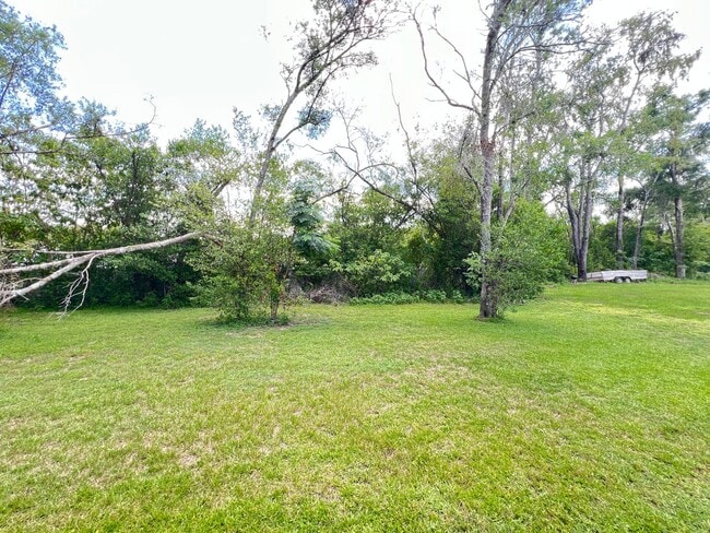 Building Photo - Lovely 3 bd/2 ba home in Summerfield!