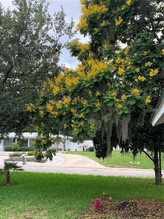 Building Photo - 6370 Conniewood Square