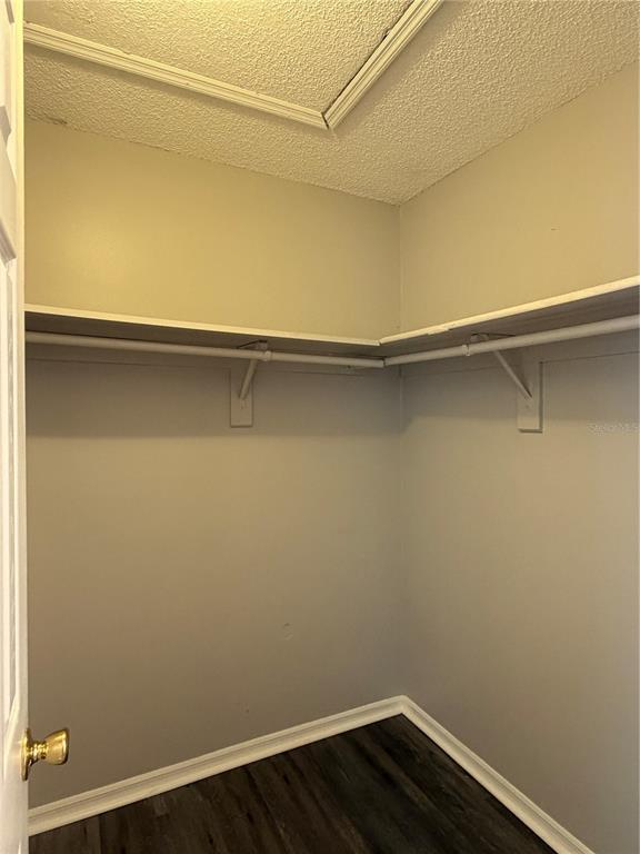 Building Photo - 1215 Ravida Cir