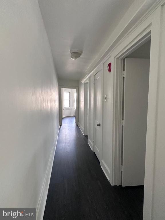 Building Photo - 411 Burmont Rd