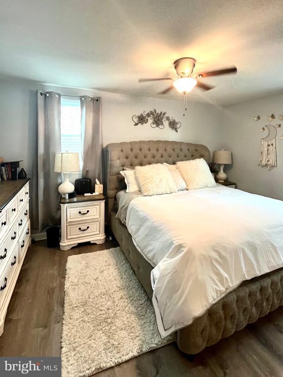 Building Photo - 4308 McMenamy St