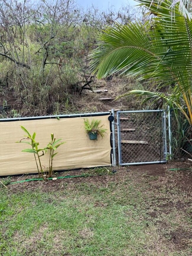 Building Photo - *PET FRIENDLY* - Large 4 bedroom/2 bath Ho...
