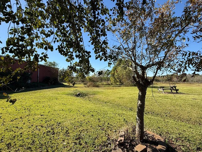 Building Photo - 5828 Avenue P