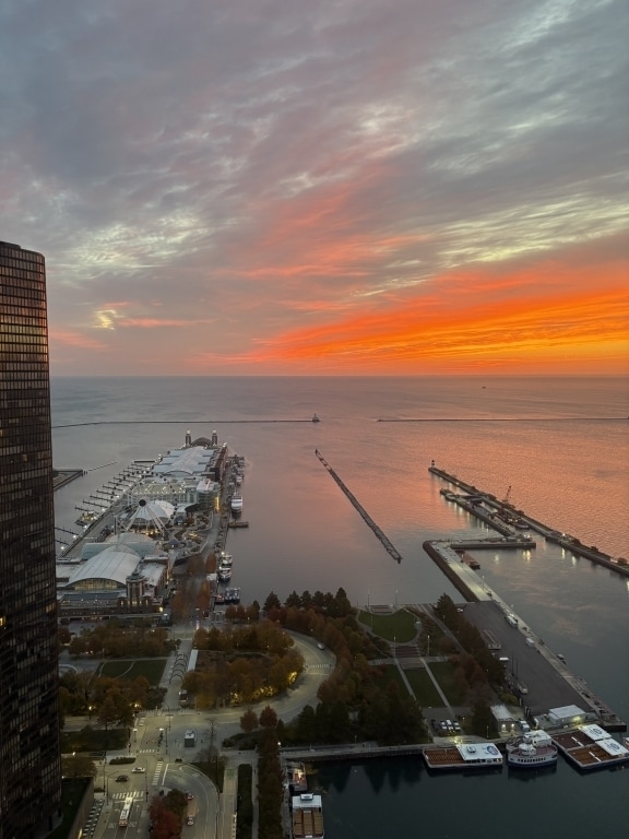 Building Photo - 474 N Lake Shore Dr