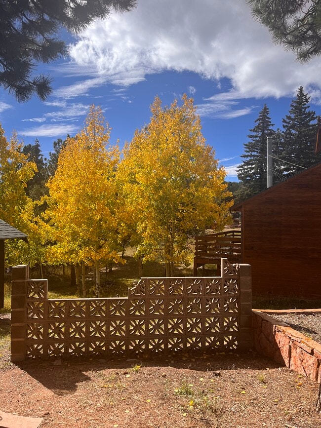 Building Photo - 305 Dewell Rd