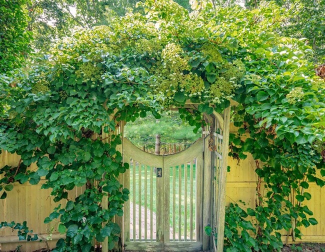 Building Photo - 1137 Springs Fireplace Rd