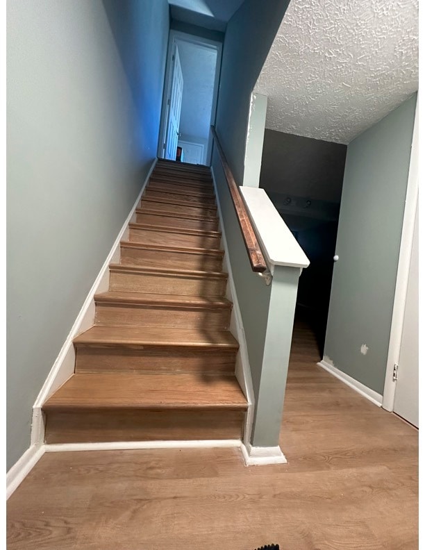 Basement Stairs - 5811 Rowanberry Dr