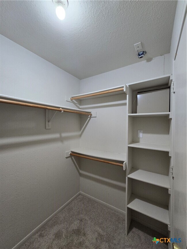 Building Photo - 4407 Paintbrush Dr