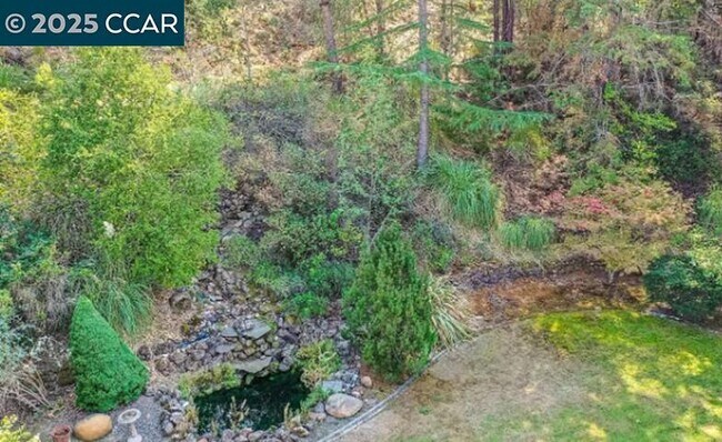 Building Photo - 224 Lasso Cir