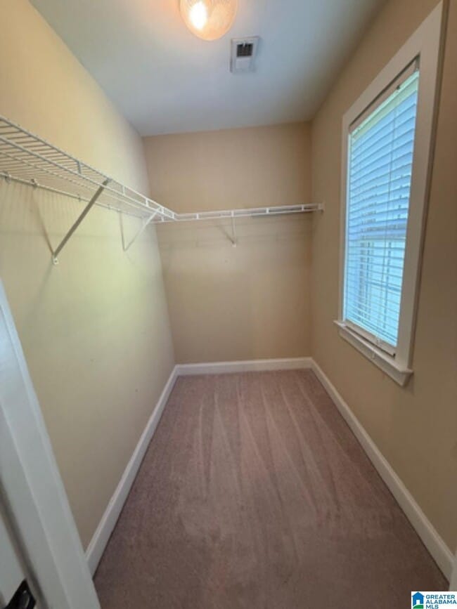 Building Photo - 5775 Colony Ln