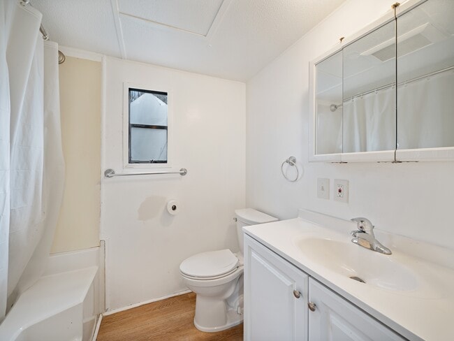 Building Photo - 53 Cushion Pl