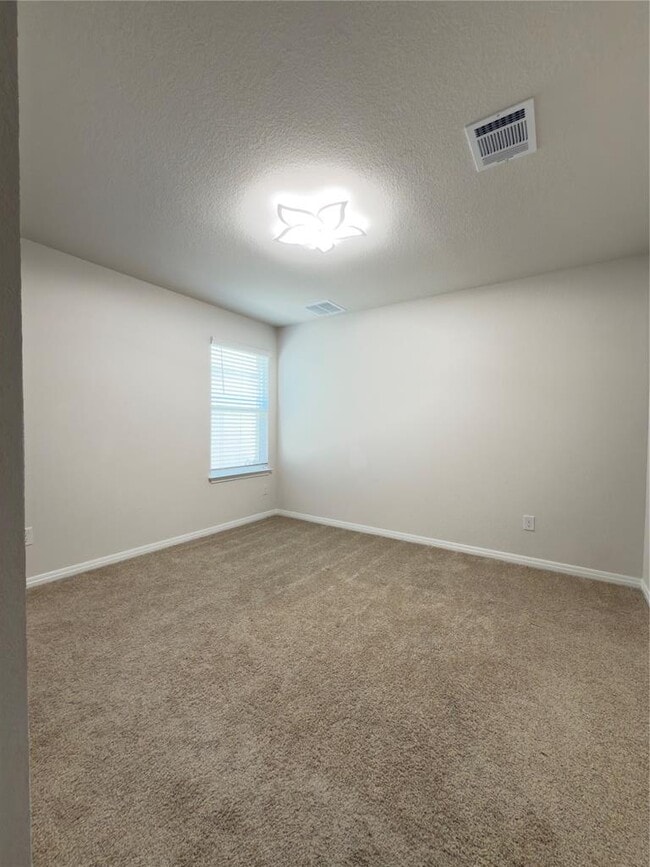 Building Photo - 282 Texas Palmetto Cir