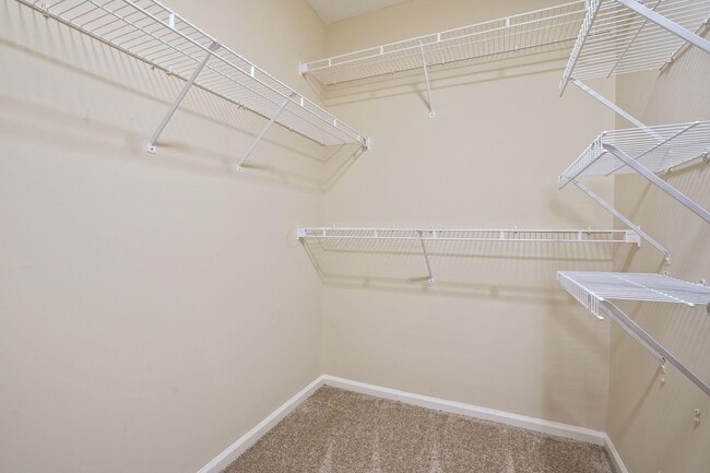 Building Photo - 5004 Stratford Pine Ln