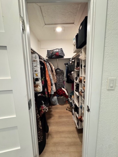 Building Photo - 2204 Palmera Cove