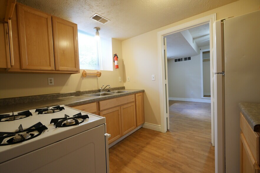 Kitchen views North - 229 W Walnut St