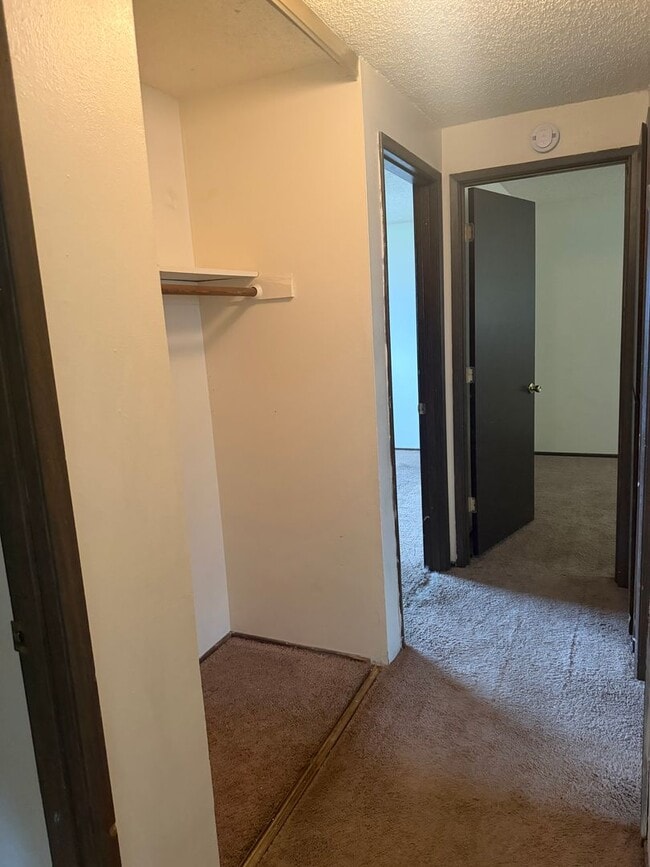 Building Photo - Springfield House