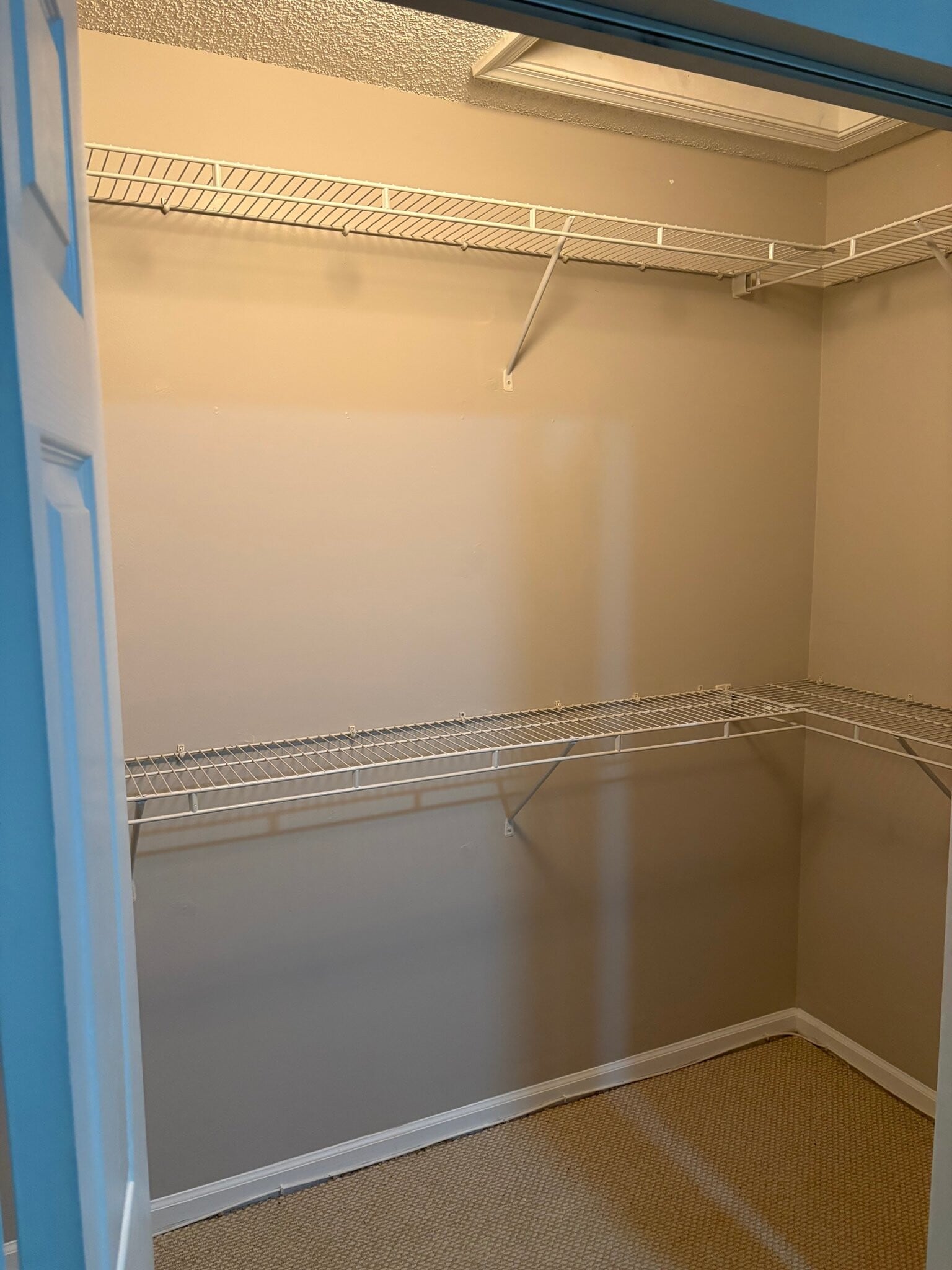 Building Photo - 5145 Palmbrooke Cir