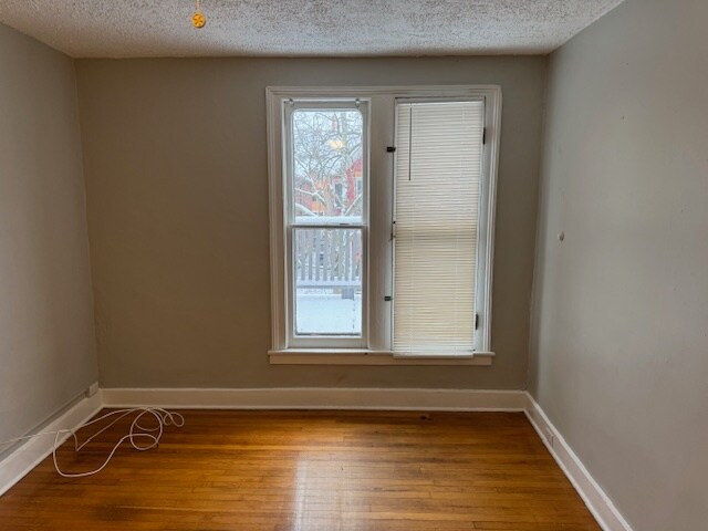 Front Windows - 342 Pennsylvania St