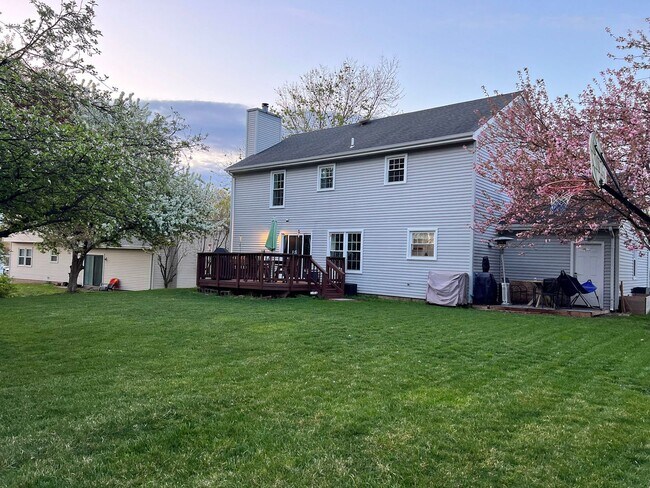 Building Photo - Gorgeous 5 Bed 3.5 Bath Single Family Home...