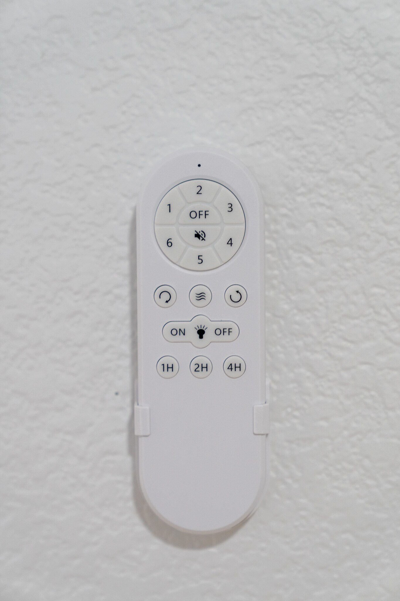 Building Photo - 504 Lacabana Beach Drive