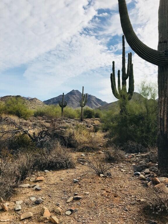 Nearby trails - 16801 N 94th St