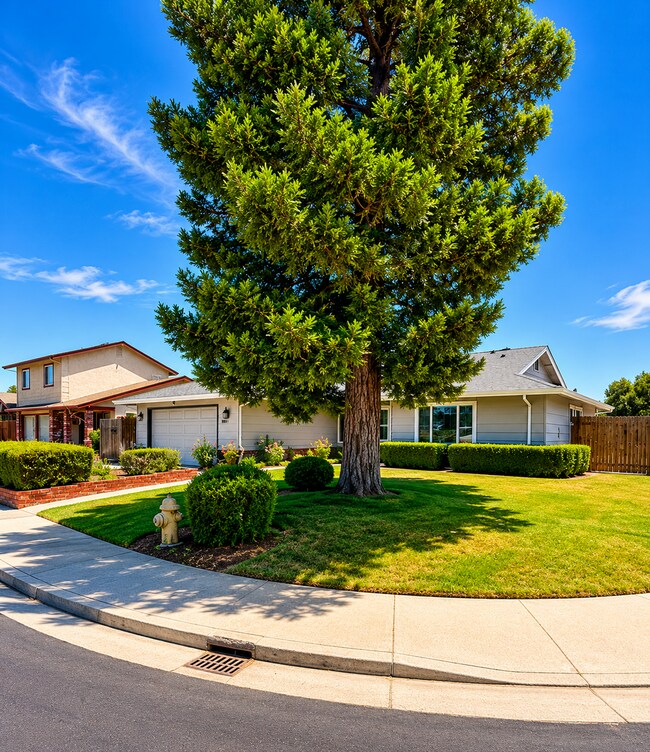 Building Photo - 708 Meadow Way