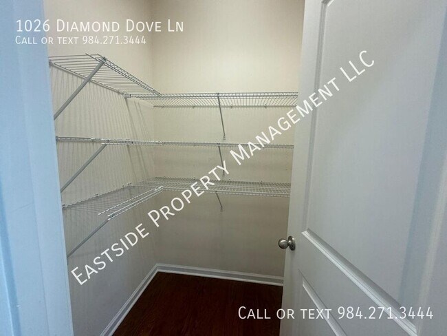 Building Photo - 1026 Diamond Dove Ln