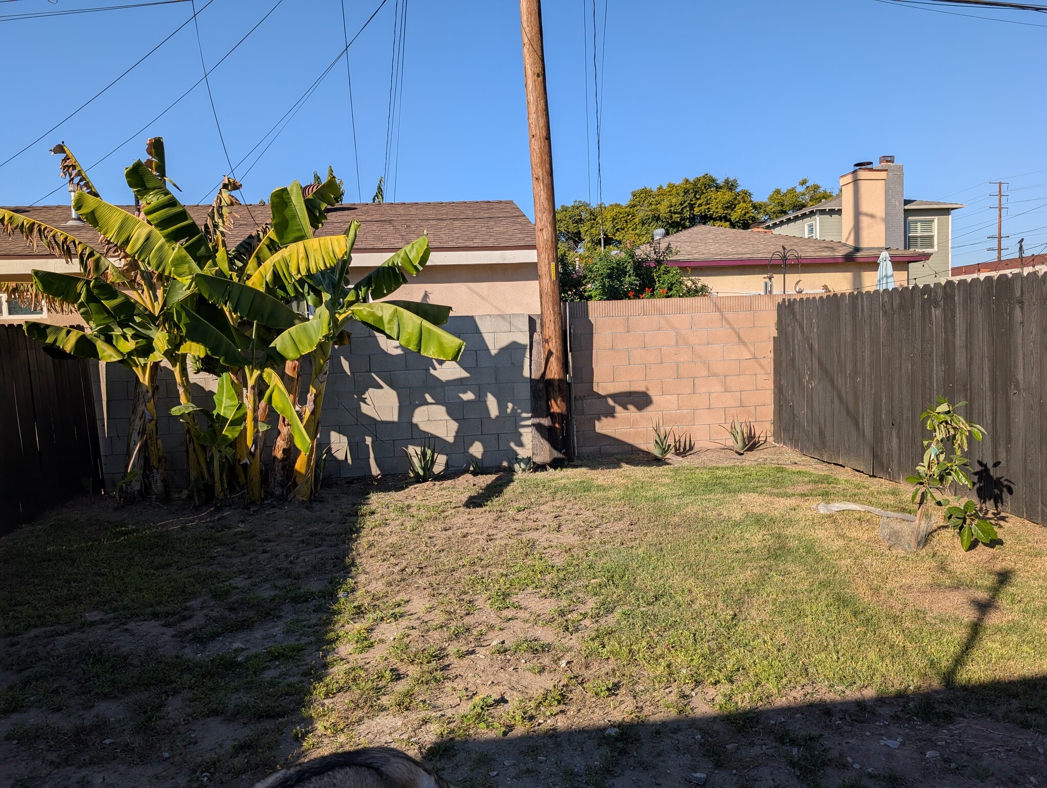 Building Photo - 1849 E Poinsettia St