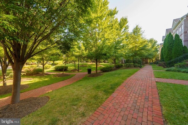 Building Photo - 8064 Criaza Branch Ct