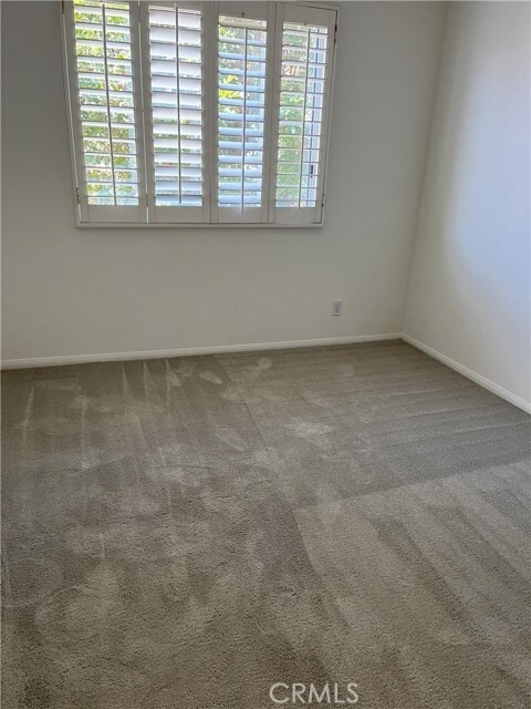 Building Photo - 5 Parthenia