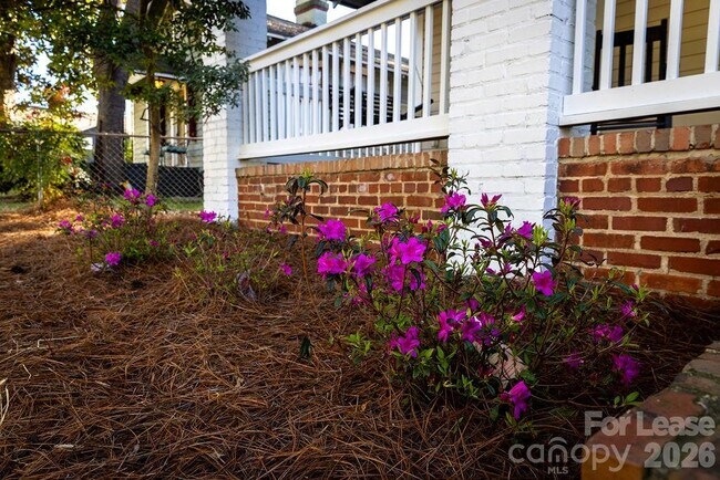 Building Photo - 435 Walnut Ave