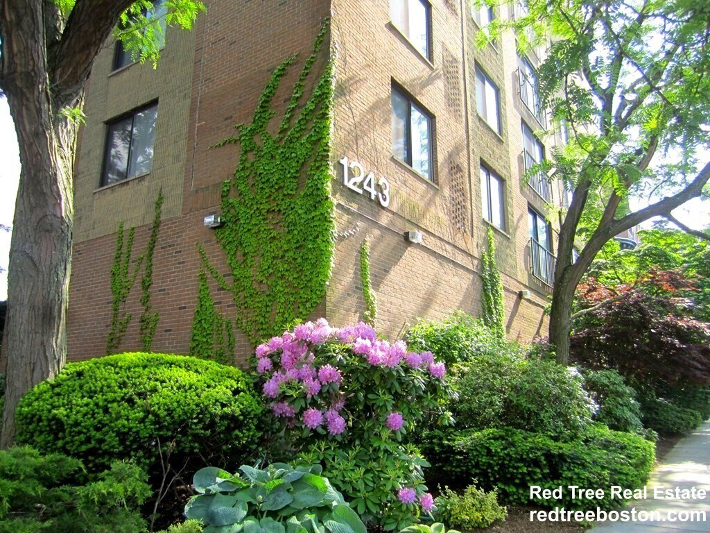 Building Photo - 1243 Beacon St