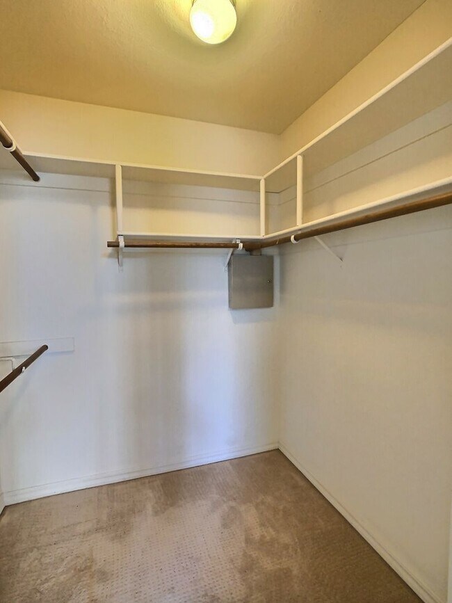 Building Photo - Spacious 4 Bedroom House in Berryessa Area