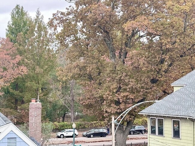 Building Photo - 47 1/2 Jamaica Street Unit 2